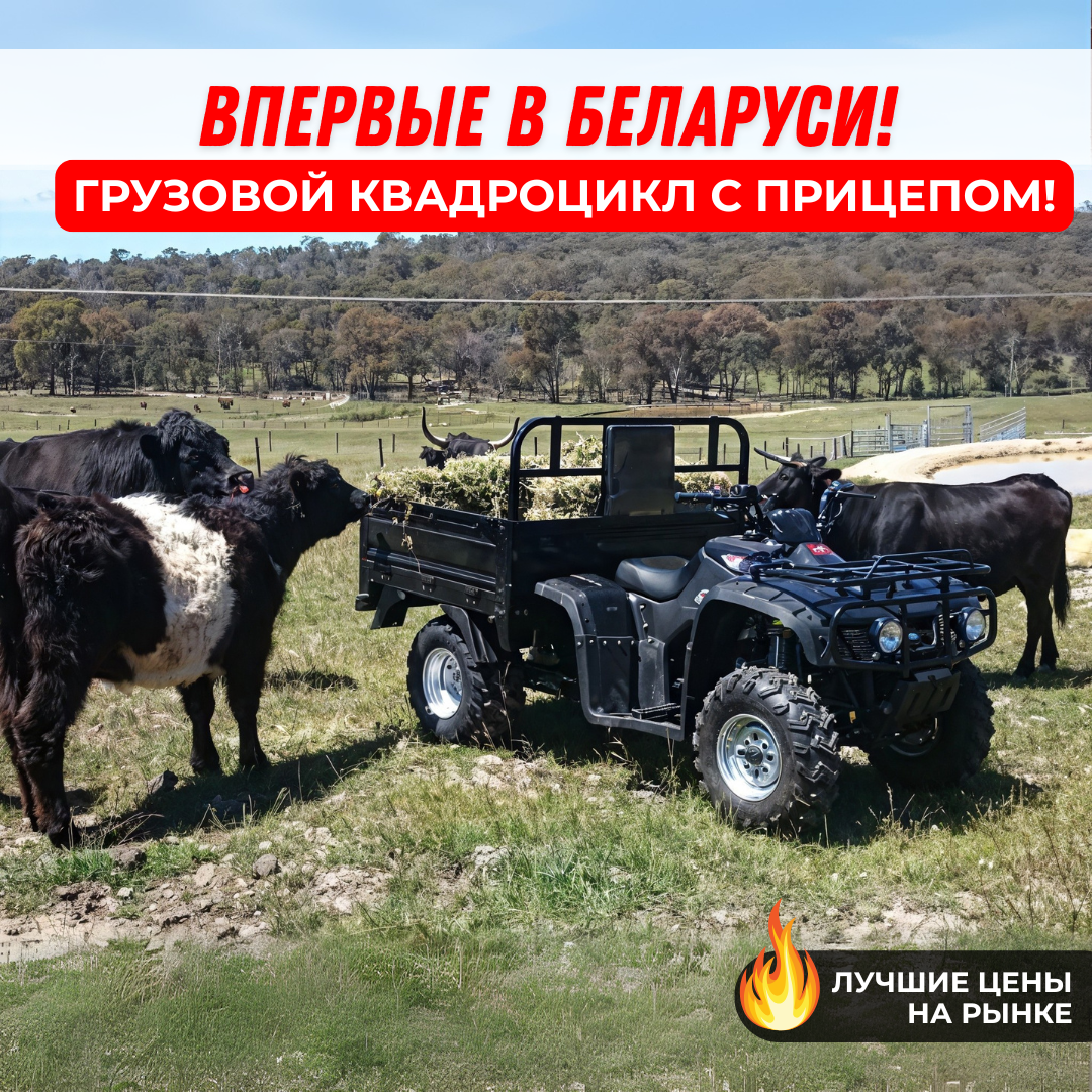 Заголовок